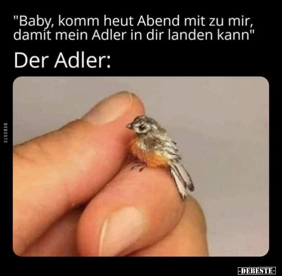 "Baby, komm heut Abend mit zu mir, damit mein Adler.." - Lustige Bilder | DEBESTE.de