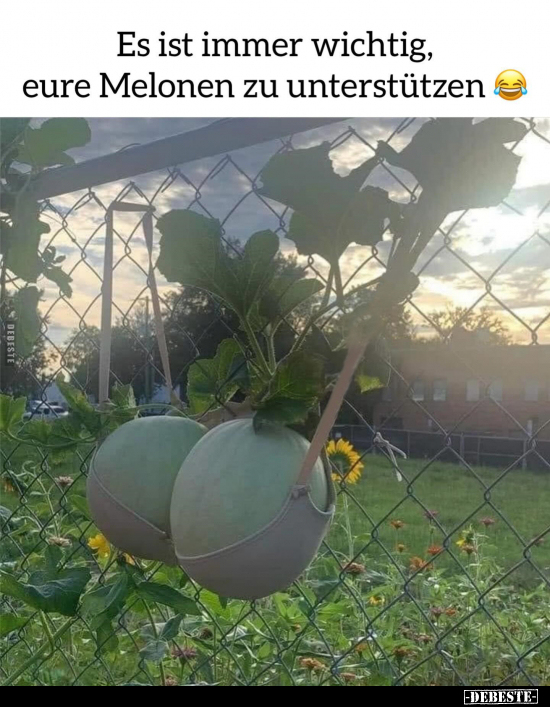 Es ist immer wichtig, eure Melonen zu unterstützen.. - Lustige Bilder | DEBESTE.de