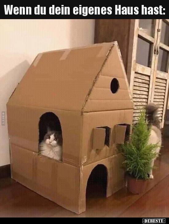 Wenn du dein eigenes Haus hast..