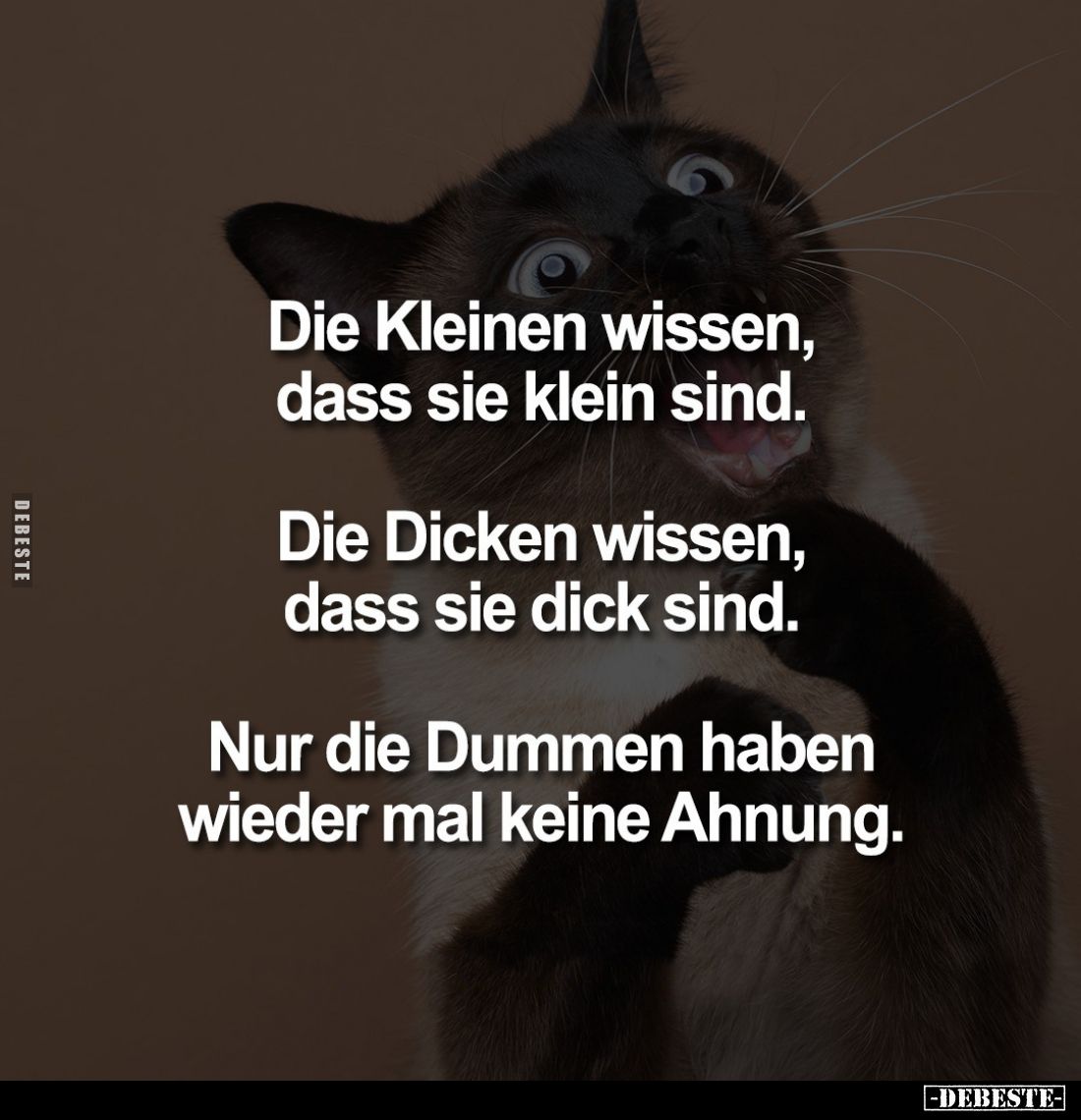 Die Kleinen wissen, dass sie klein sind.
Die Dicken wissen, dass sie dick sind.
Nur die Dummen haben wieder mal keine Ahnun...