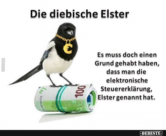 Die diebische Elster... - Lustige Bilder | DEBESTE.de