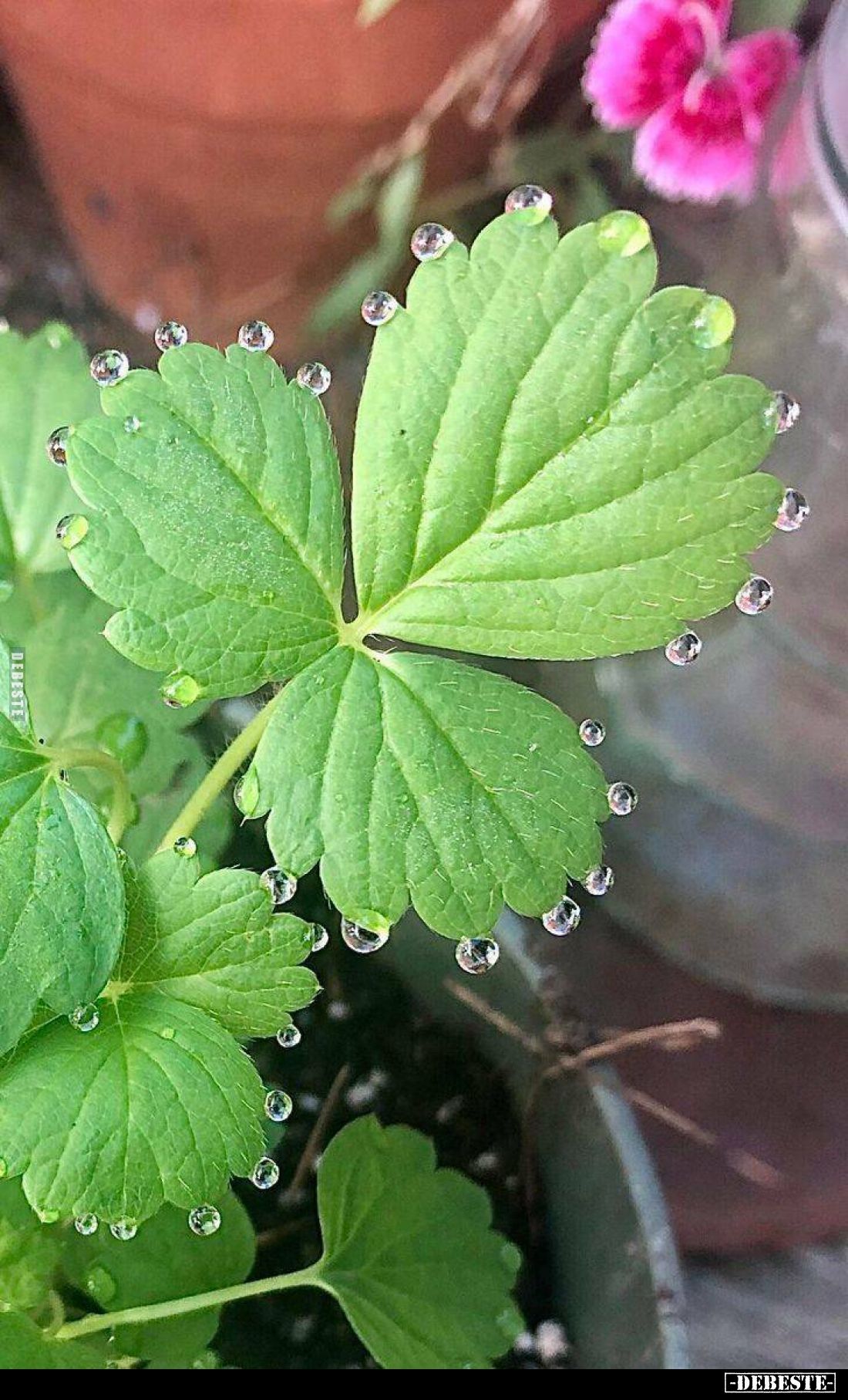  - Lustige Bilder | DEBESTE.de