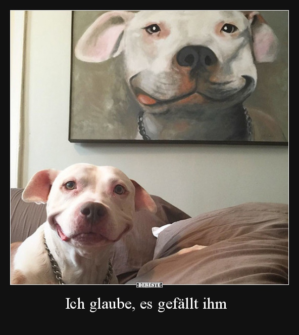 Ich glaube, es gefällt ihm..