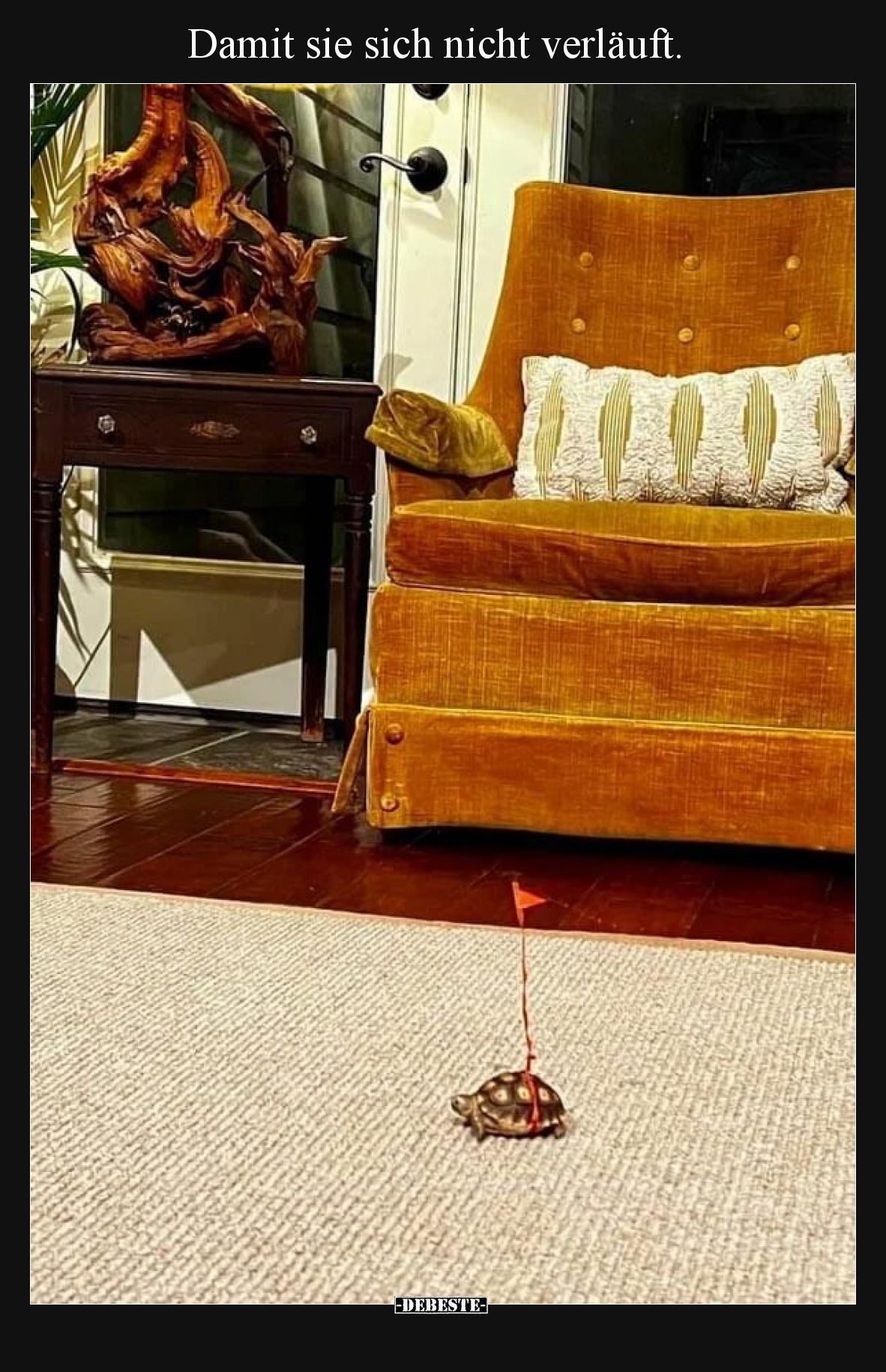 Damit sie sich nicht verläuft.