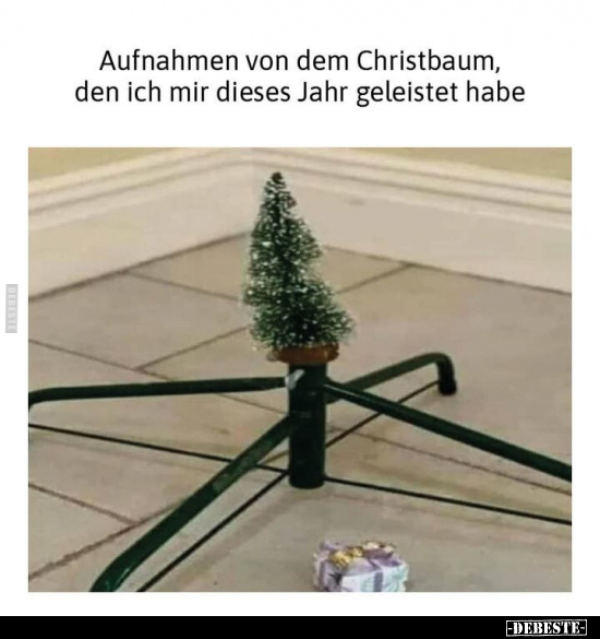 Aufnahmen von dem Christbaum, den ich mir dieses Jahr.. - Lustige Bilder | DEBESTE.de