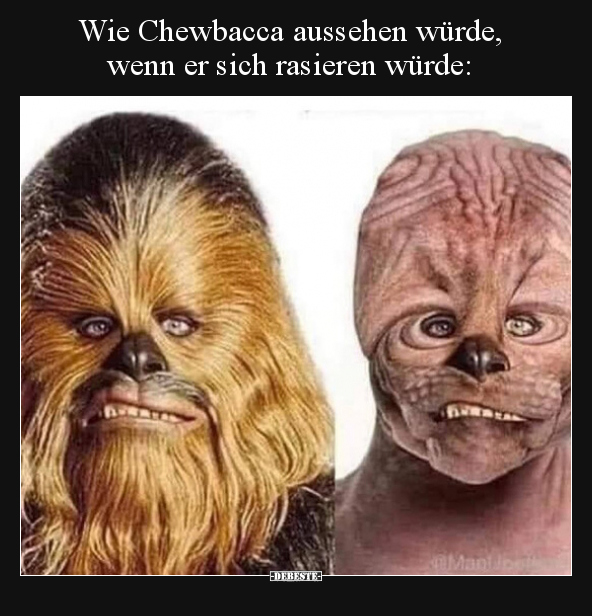 Wie Chewbacca aussehen würde, wenn er sich rasieren.. - Lustige Bilder | DEBESTE.de