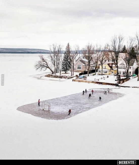  - Lustige Bilder | DEBESTE.de