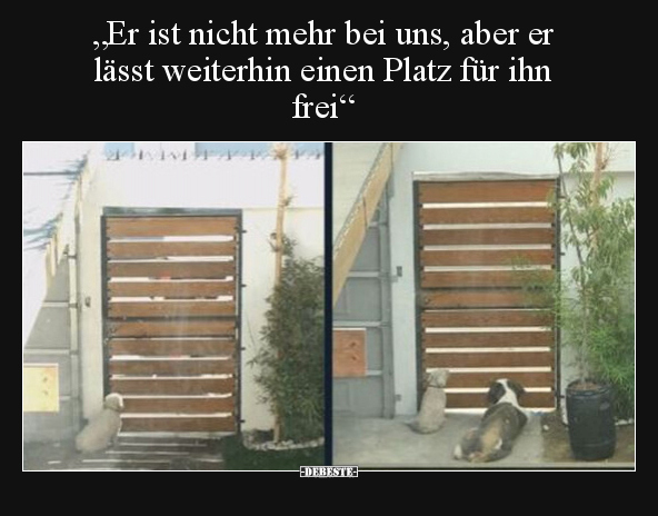 "Er ist nicht mehr bei uns, aber er lässt weiterhin einen.." - Lustige Bilder | DEBESTE.de