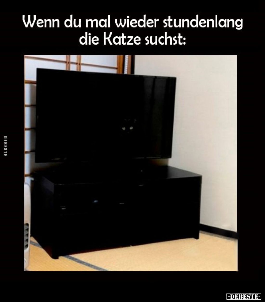 Wenn du mal wieder stundenlang die Katze suchst:
