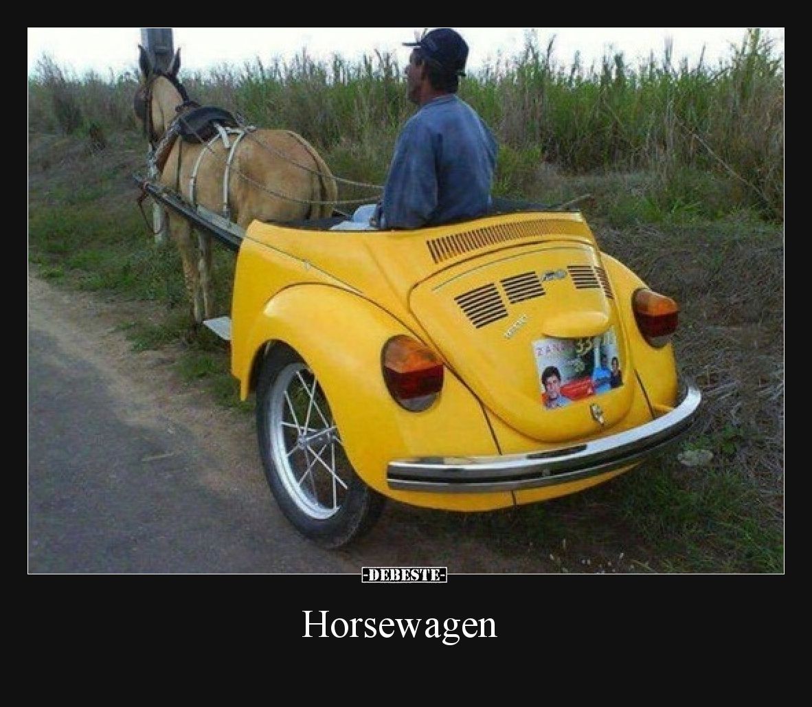 Horsewagen