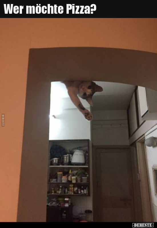 Wer möchte Pizza?..
