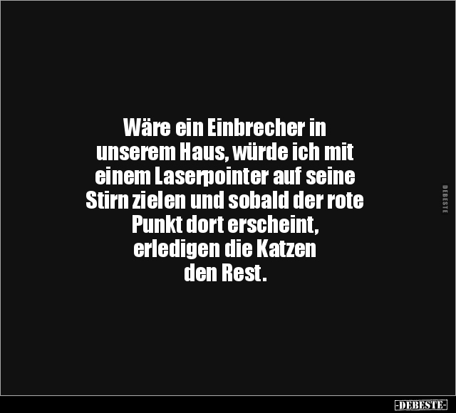 Wäre ein Einbrecher in unserem Haus.. - Lustige Bilder | DEBESTE.de