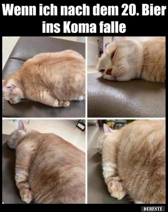 Wenn ich nach dem 20. Bier ins Koma falle.. - Lustige Bilder | DEBESTE.de