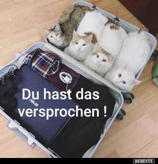 Du hast das versprochen!..