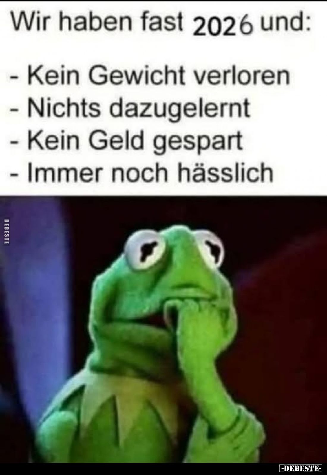 Wir haben fast 2026 und:
- Kein Gewicht verloren.
- Nichts dazugelernt.
- Kein Geld gespart.
- Immer noch hässlich.