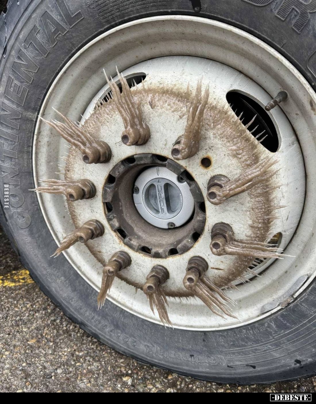  - Lustige Bilder | DEBESTE.de