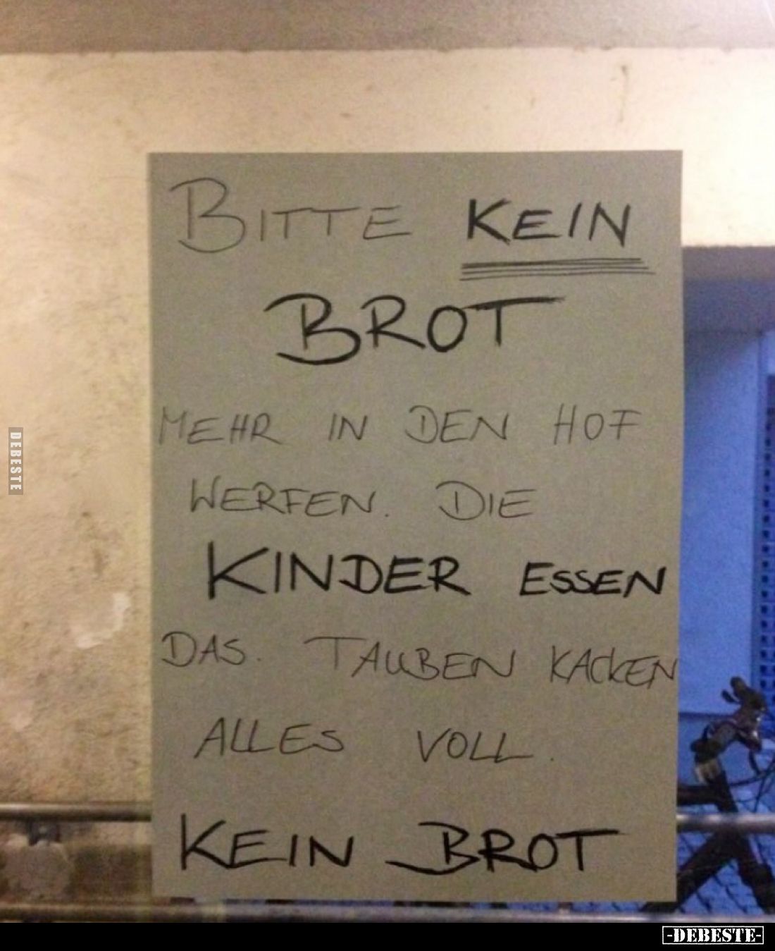 Bitte kein Brot mehr in den Hof werfen. Die Kinder essen das. Tauben kacken alles voll.
Kein Brot