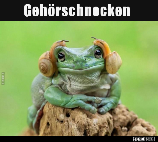 Gehörschnecken.. - Lustige Bilder | DEBESTE.de