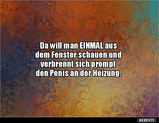 Da will man EINMAL aus dem Fenster schauen und.. - Lustige Bilder | DEBESTE.de