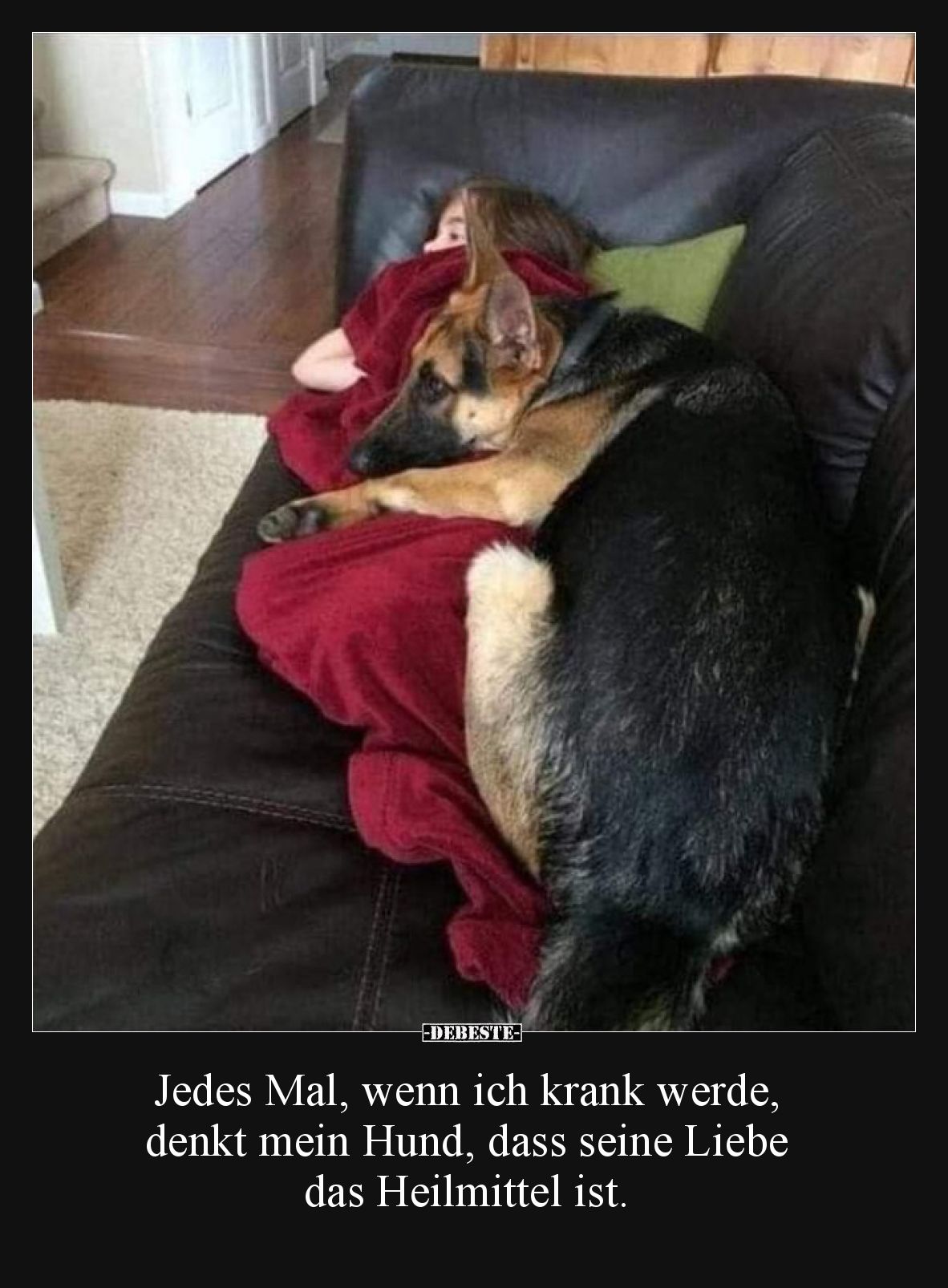 Jedes Mal, wenn ich krank werde, denkt mein Hund, dass seine Liebe das Heilmittel ist.