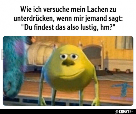 Wie ich versuche mein Lachen zu unterdrücken, wenn mir.. - Lustige Bilder | DEBESTE.de