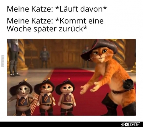 Meine Katze: *Läuft davon*..