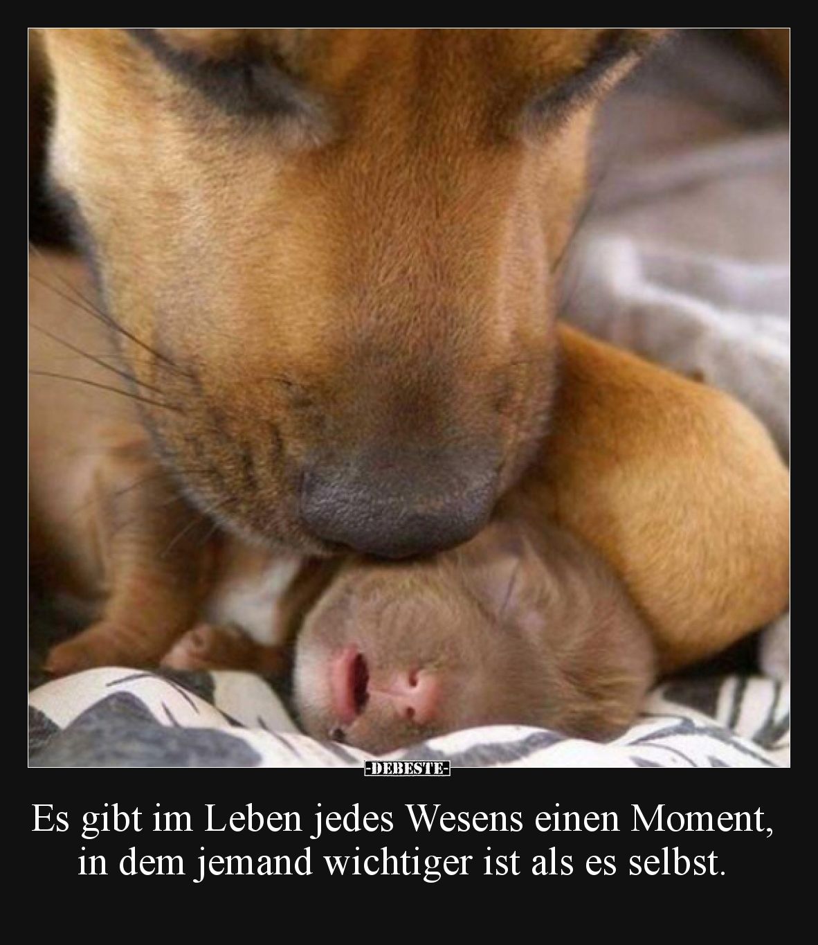 Es gibt im Leben jedes Wesens einen Moment, in dem jemand wichtiger ist als es selbst.