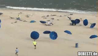 Spaß für den ganzen Tag..