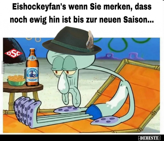 Eishockeyfan's wenn Sie merken, dass noch ewig hin ist bis.. - Lustige Bilder | DEBESTE.de