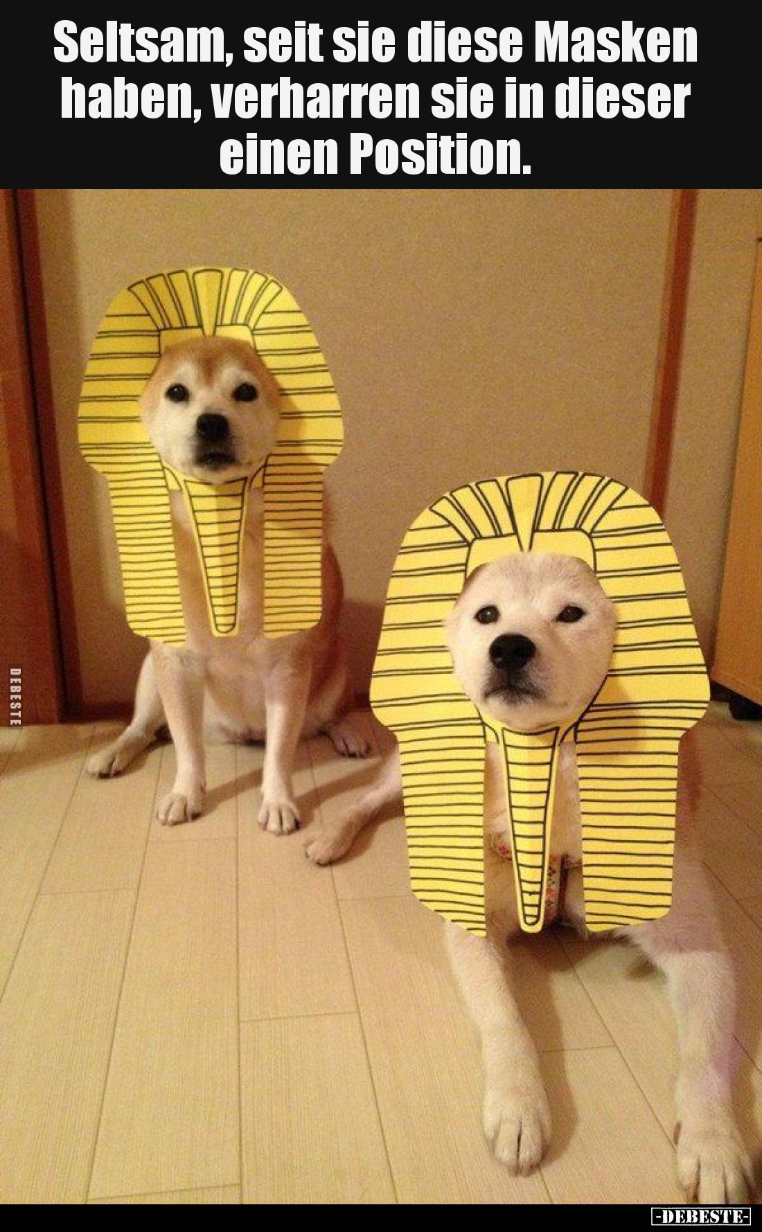 Seltsam, seit sie diese Masken haben, verharren sie in dieser einen Position.