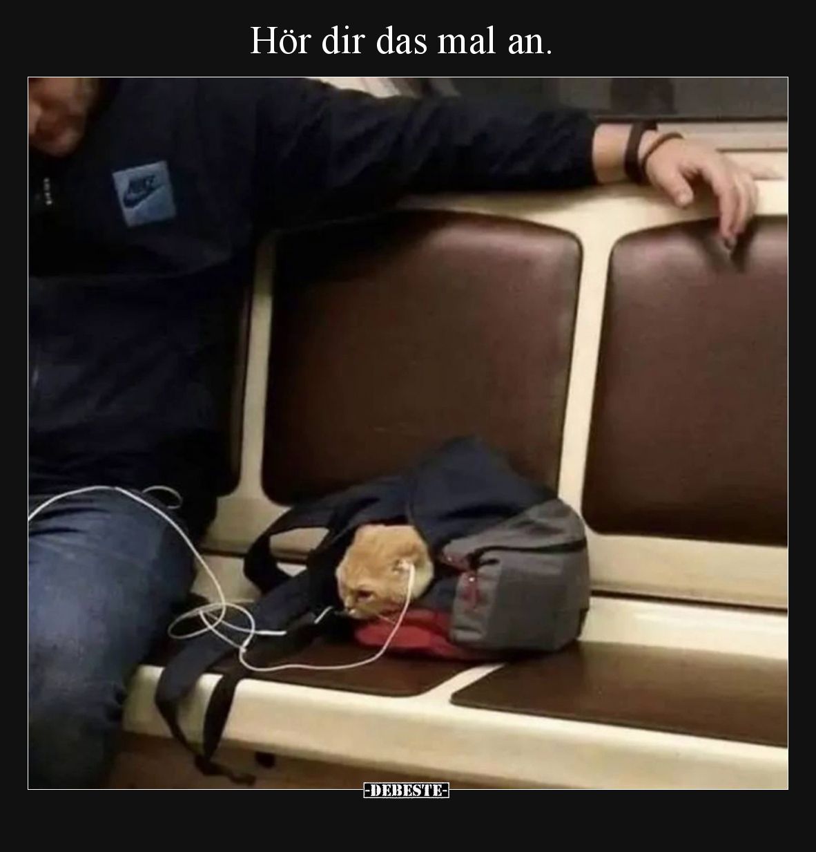Hör dir das mal an.