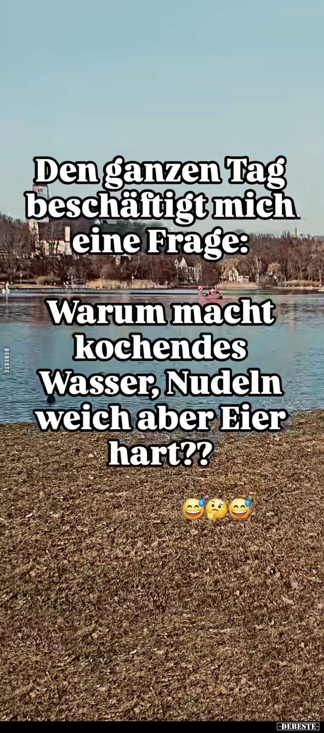 Den ganzen Tag beschäftigt mich eine Frage:
Warum macht kochendes Wasser, Nudeln weich aber Eier hart??
