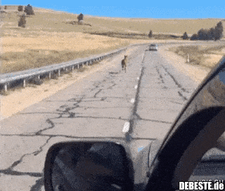  - Lustige Bilder | DEBESTE.de