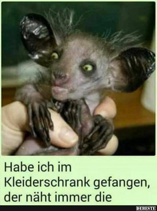 Habe ich im Kleiderschrank gefangen..