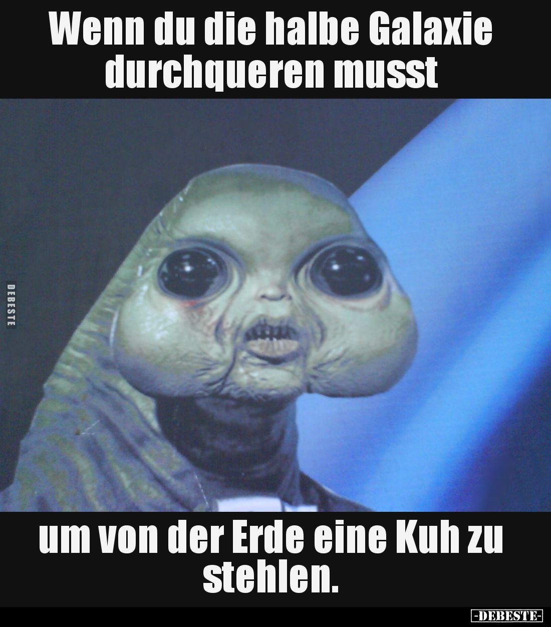 Wenn du die halbe Galaxie durchqueren musst, um von der Erde eine Kuh zu stehlen.