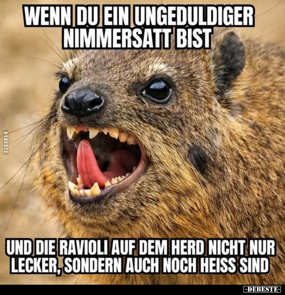 Wenn du ein ungeduldiger Nimmersatt bist und die Ravioli auf dem Herd nicht nur lecker, sondern auch noch heiss sind