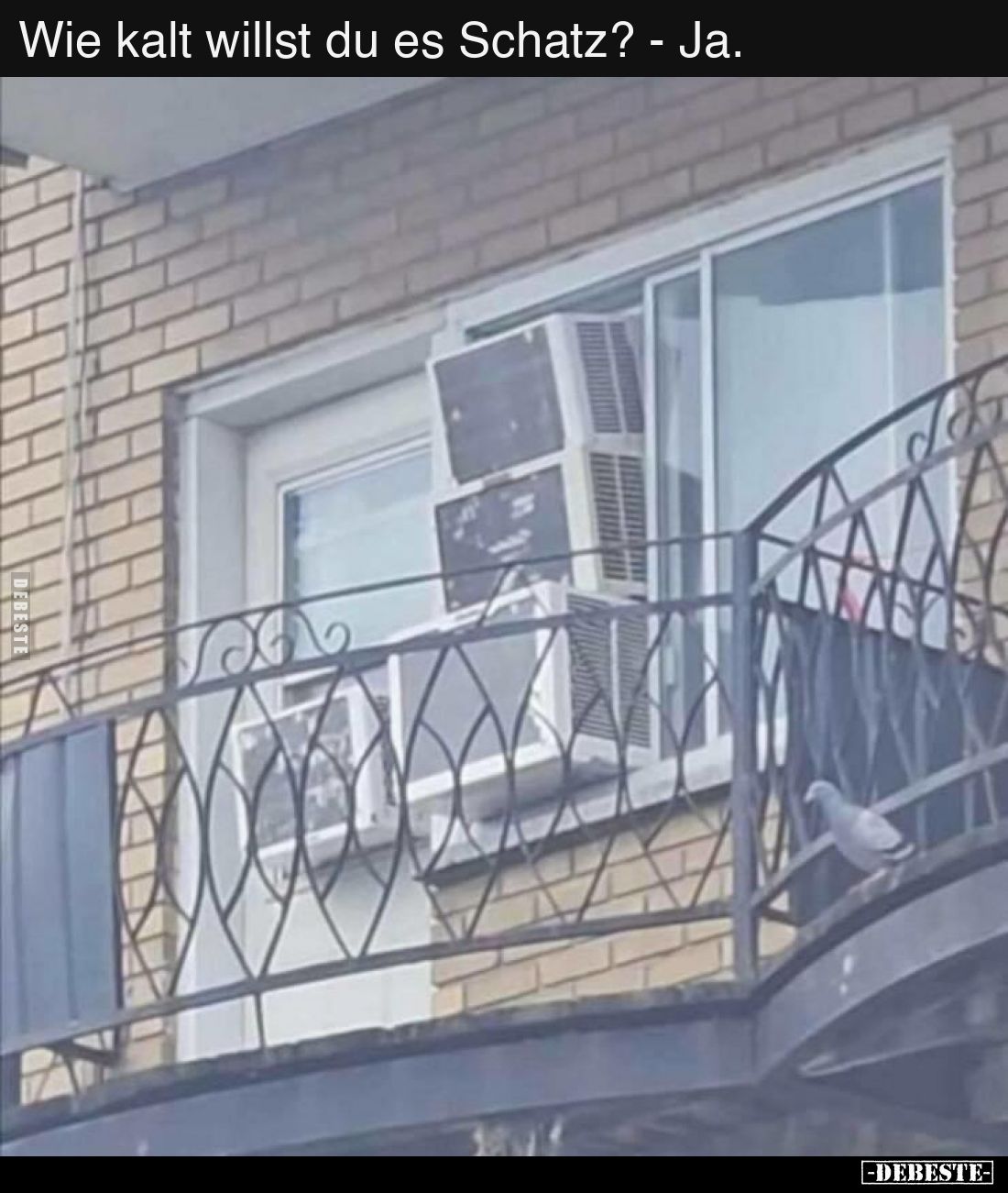 Wie kalt willst du es Schatz? - Ja...