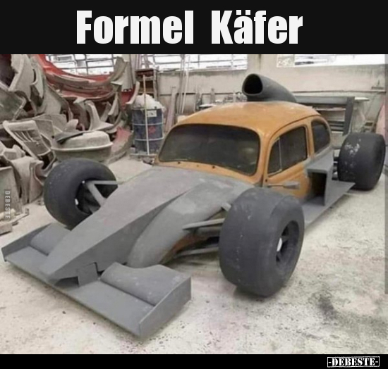 Formel Käfer.. - Lustige Bilder | DEBESTE.de