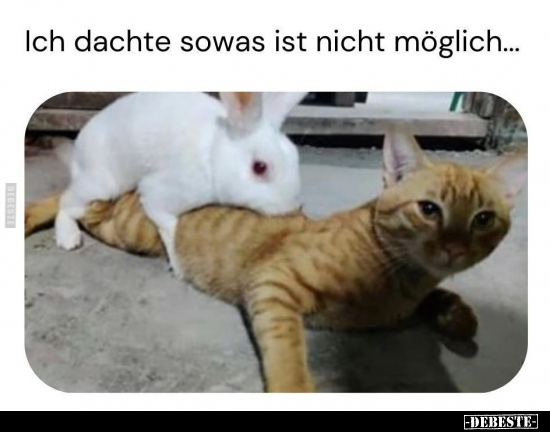 Ich dachte sowas ist nicht möglich...