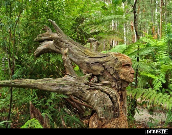  - Lustige Bilder | DEBESTE.de