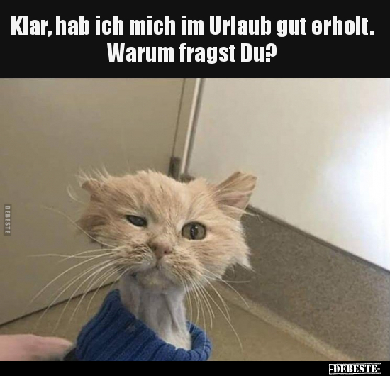 Klar, hab ich mich im Urlaub gut erholt.. - Lustige Bilder | DEBESTE.de