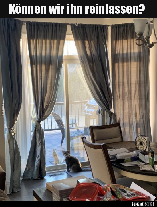 Können wir ihn reinlassen?..