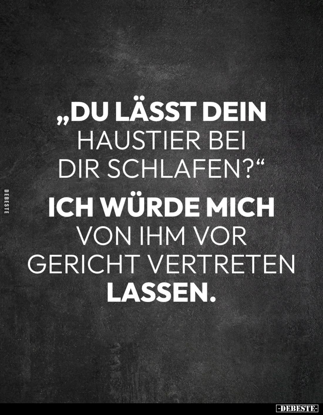 "Du lässt dein
Haustier bei dir schlafen?" -
Ich würde mich
von ihm vor Gericht vertreten lassen.
