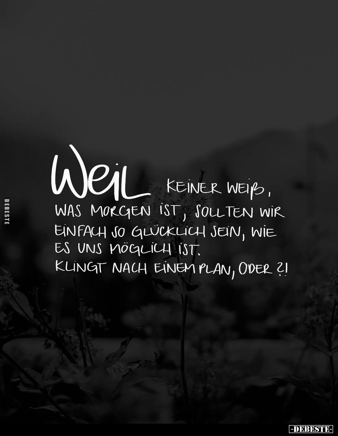 Weil keiner weiß, was morgen ist, sollten wir einfach so glücklich sein, wie es uns möglich ist. Klingt nach einem Plan, oder...