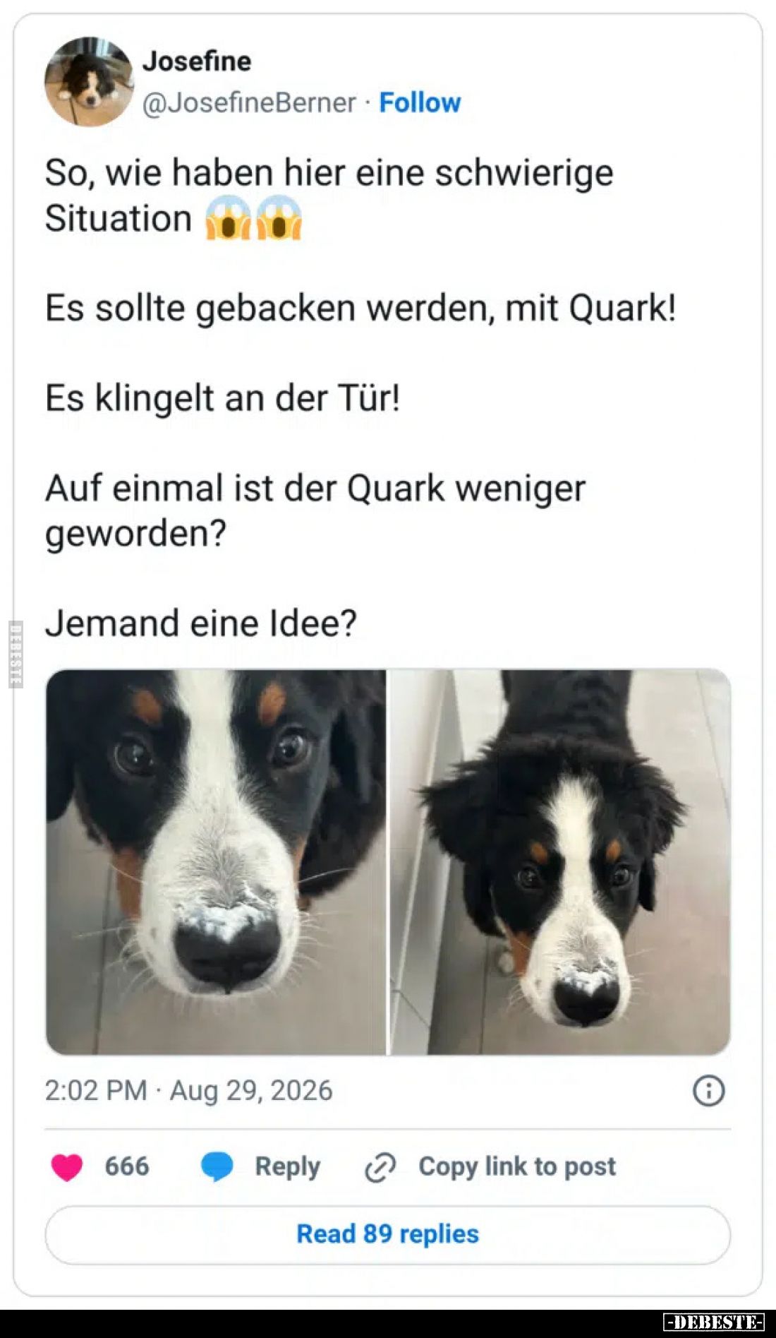 So, wie haben hier eine schwierige Situation.
Es sollte gebacken werden, mit Quark!
Es klingelt an der Tür!
Auf einmal ist...