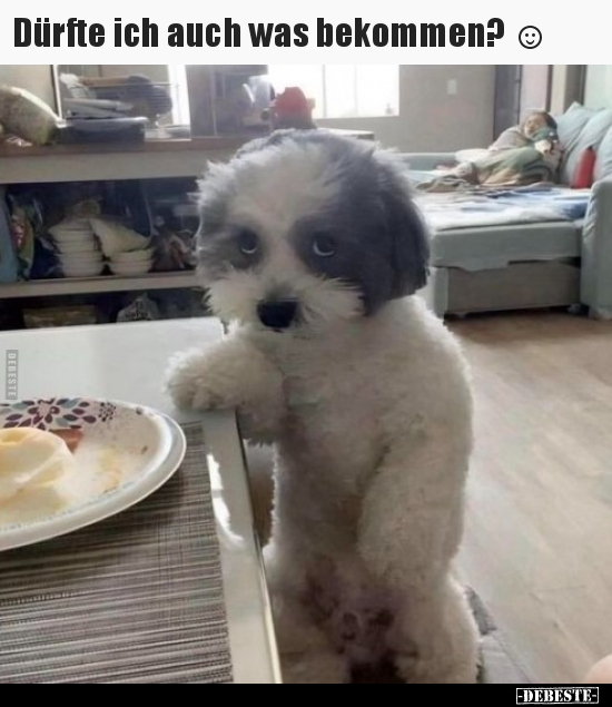 Dürfte ich auch was bekommen?