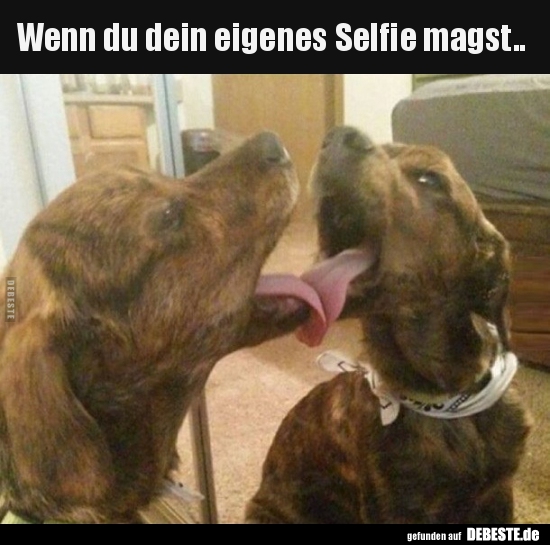 Wenn du dein eigenes Selfie magst..