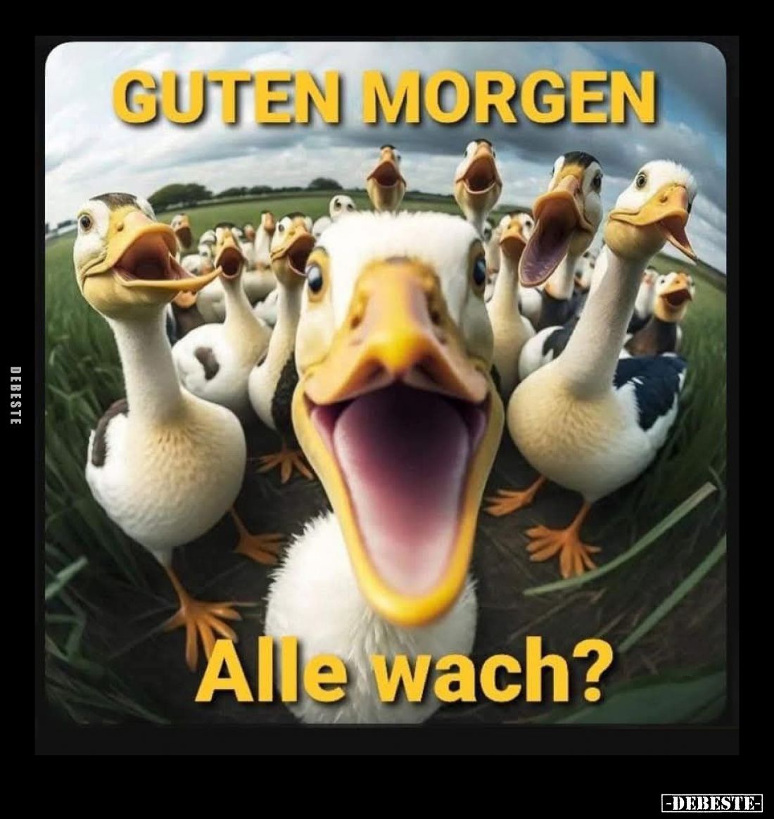 Guten Morgen
alle wach?