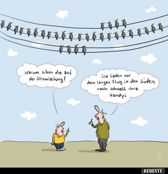 Warum siken die auf der Stromleitung?.. - Lustige Bilder | DEBESTE.de