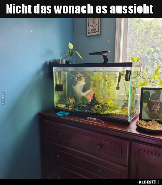 Nicht das wonach es aussieht..